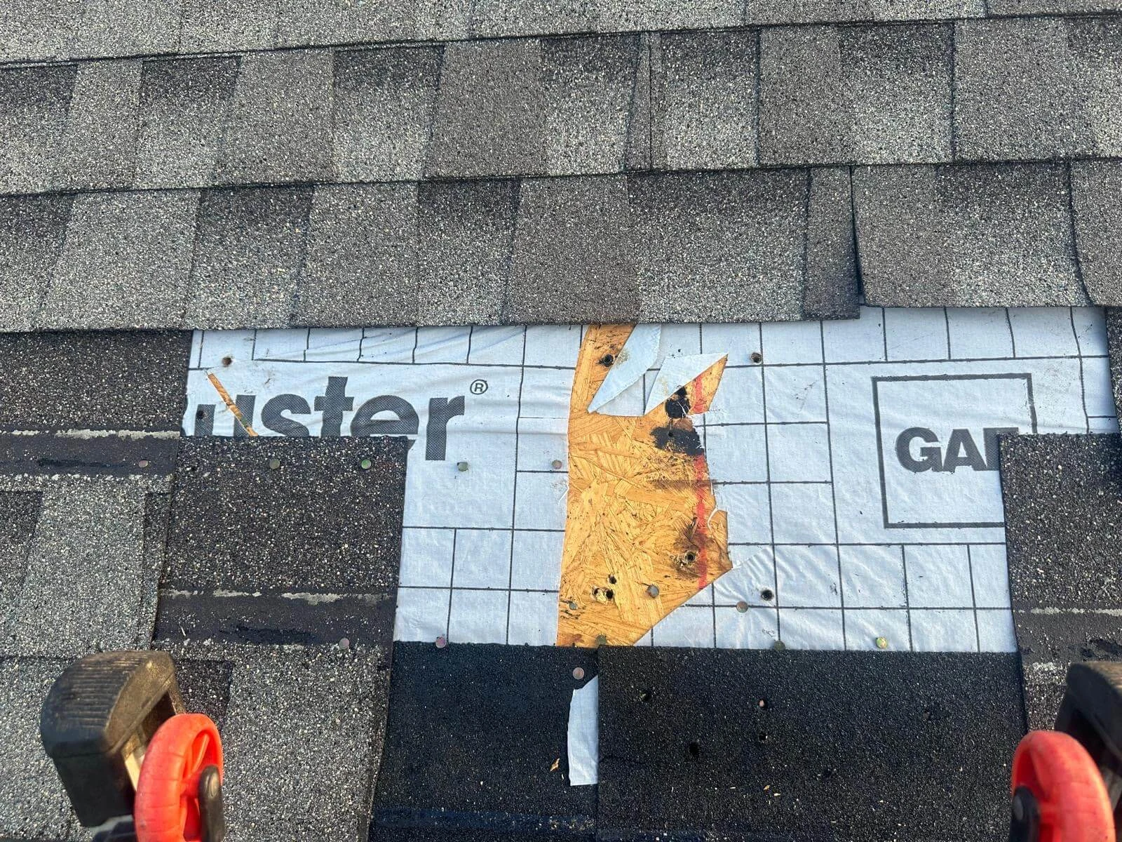 Rhino Ridge project: Roof Repairs